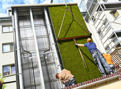 Green walls for fighting climate change