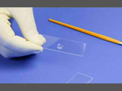 Product Spotlight: Master Bond UV22DC80-1